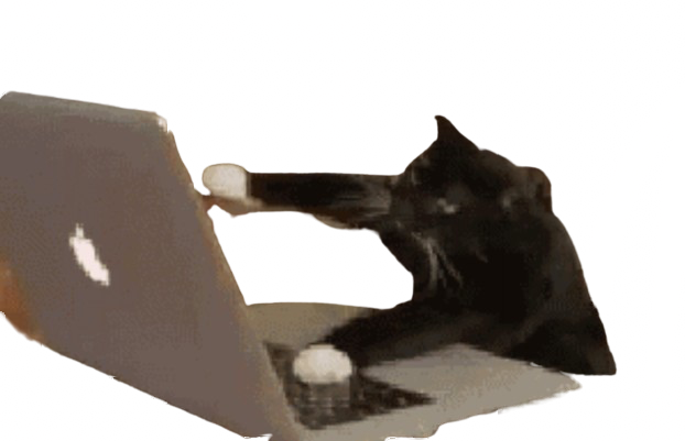 🐱